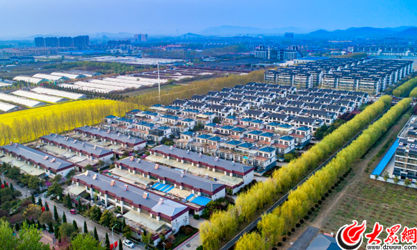 【乡村振兴新实践】兰陵县代村:争做乡村振兴的排头兵