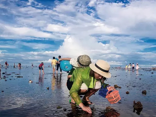 海滩赶海
