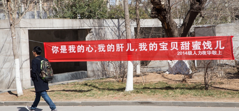 cfp501151208.jpg