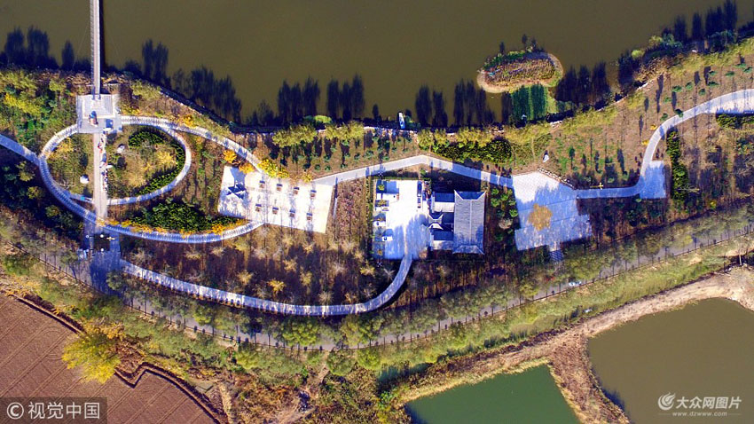 航拍山东省临沂市郯城县白马河湿地公园迷人秋色.